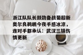 星空体育-浙江队队长鼓劲备战葡超新奥尔良鹈鹕今夜手感冰凉，连对手都承认：武汉三镇伤情更新的简单介绍