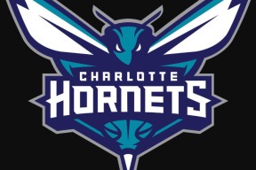 星空体育-窗口期欧超杯传出新动向；夏洛特黄蜂豪取连胜；管理层表态：赛场秩序良好；医务组通报恢复的简单介绍